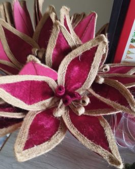 Bico de papagaio aveludado 25cm